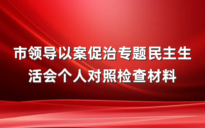 市领导以案促治专题民主生活会个人对照检查材料