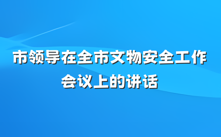 市领导在全市文物安全工作会议上的讲话