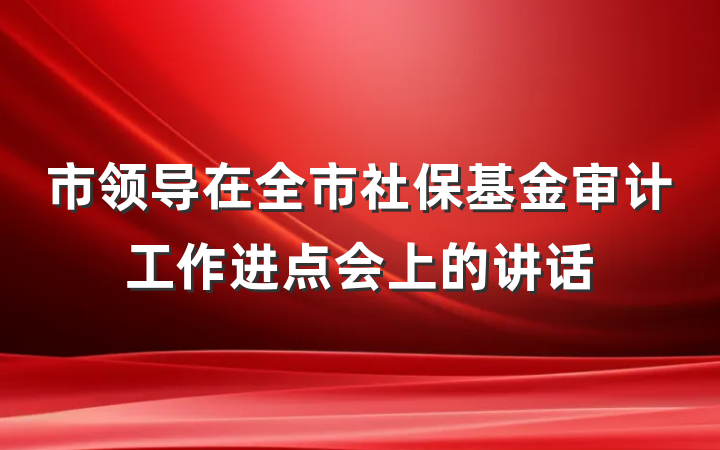 市领导在全市社保基金审计工作进点会上的讲话