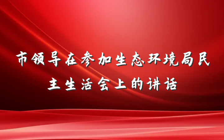 市领导在参加生态环境局民主生活会上的讲话