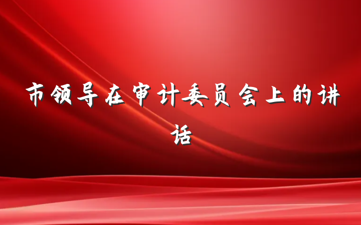 市领导在审计委员会上的讲话
