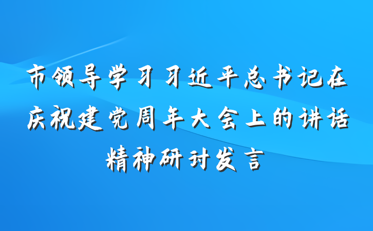 市领导学习习近平总书记在庆祝建党周年大会上的讲话精神研讨发言
