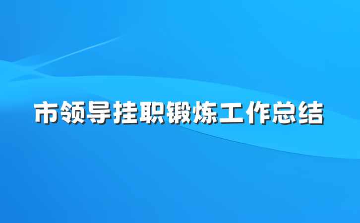 市领导挂职锻炼工作总结