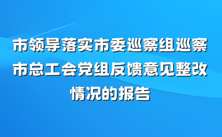 市领导落实市委巡察组巡察市总工会党组反馈意见整改情况的报告