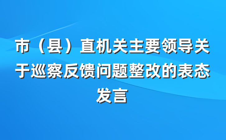 市（县）直机关主要领导关于巡察反馈问题整改的表态发言