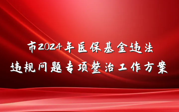 市2024年医保基金违法违规问题专项整治工作方案
