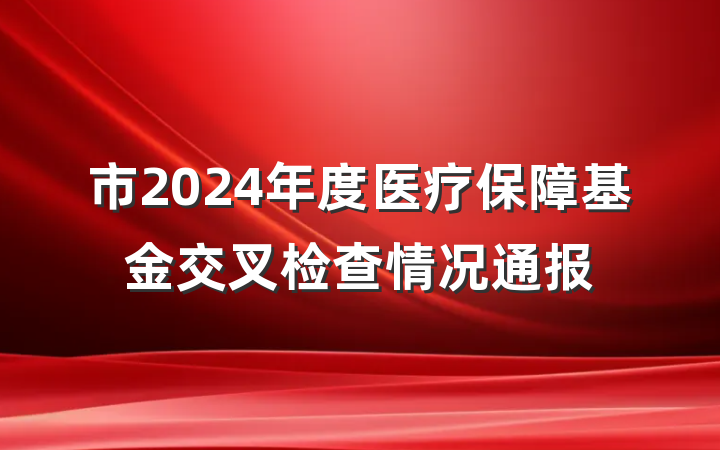 市2024年度医疗保障基金交叉检查情况通报