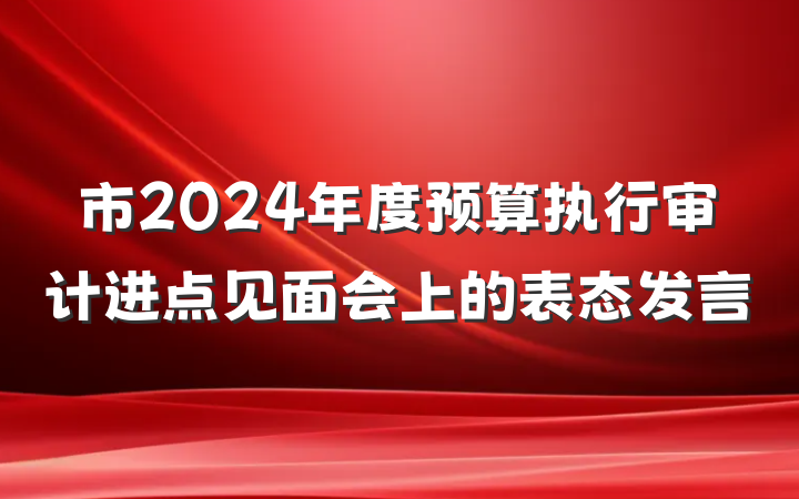 市2024年度预算执行审计进点见面会上的表态发言