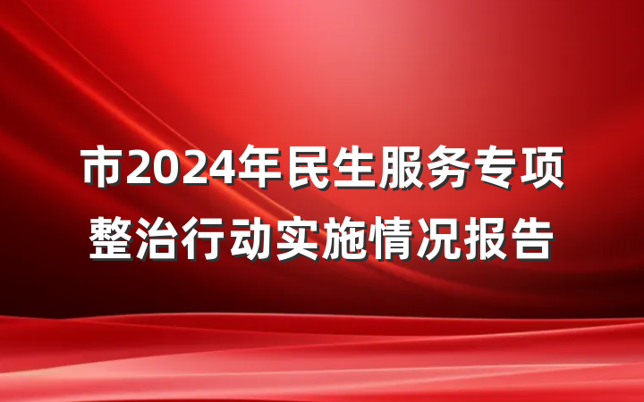 市2024年民生服务专项整治行动实施情况报告