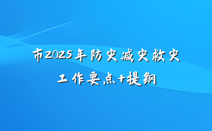 市2025年防灾减灾救灾工作要点 提纲