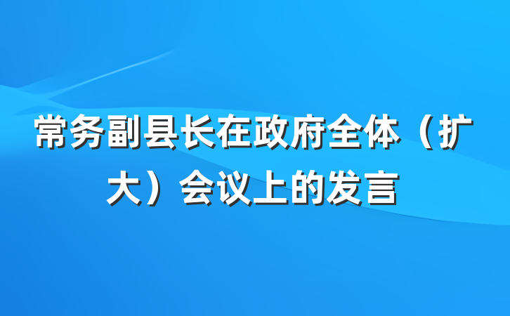 常务副县长在政府全体（扩大）会议上的发言