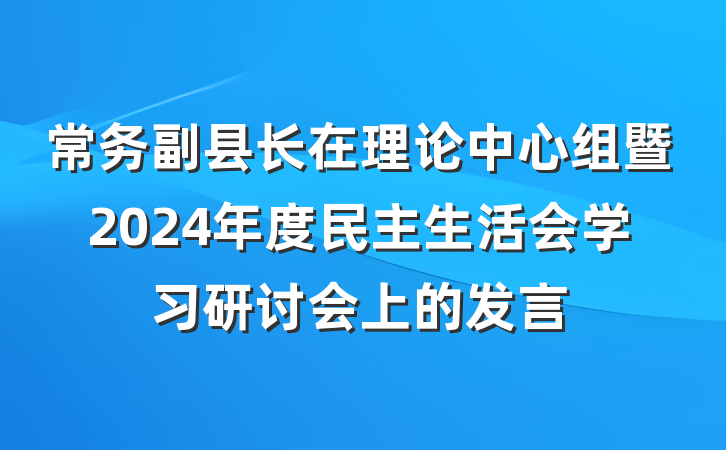 常务副县长在理论中心组暨2024年度民主生活会学习研讨会上的发言