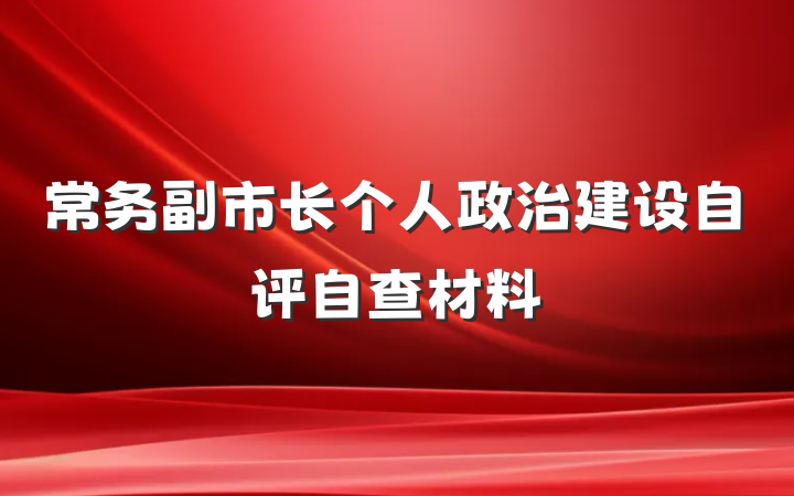 常务副市长个人政治建设自评自查材料