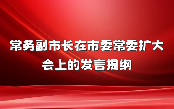 常务副市长在市委常委扩大会上的发言提纲