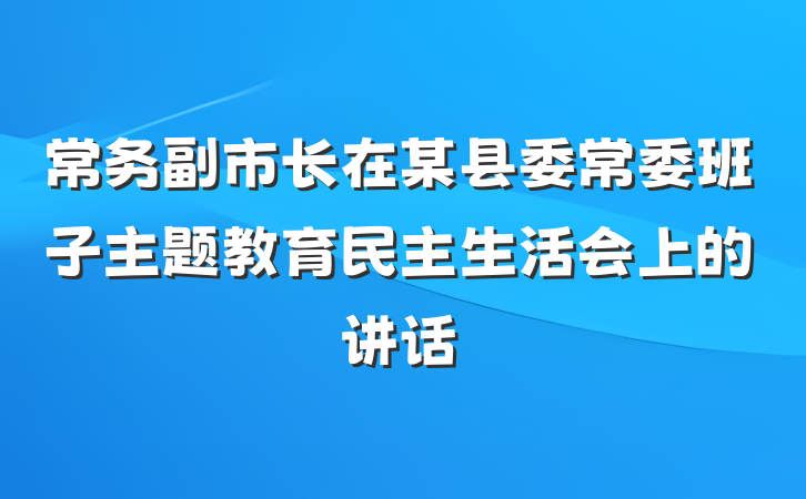 常务副市长在某县委常委班子主题教育民主生活会上的讲话