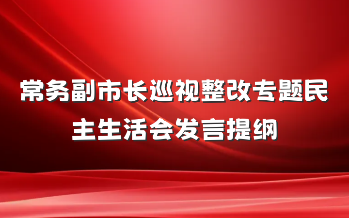 常务副市长巡视整改专题民主生活会发言提纲