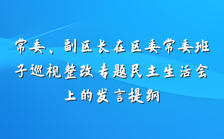 常委、副区长在区委常委班子巡视整改专题民主生活会上的发言提纲