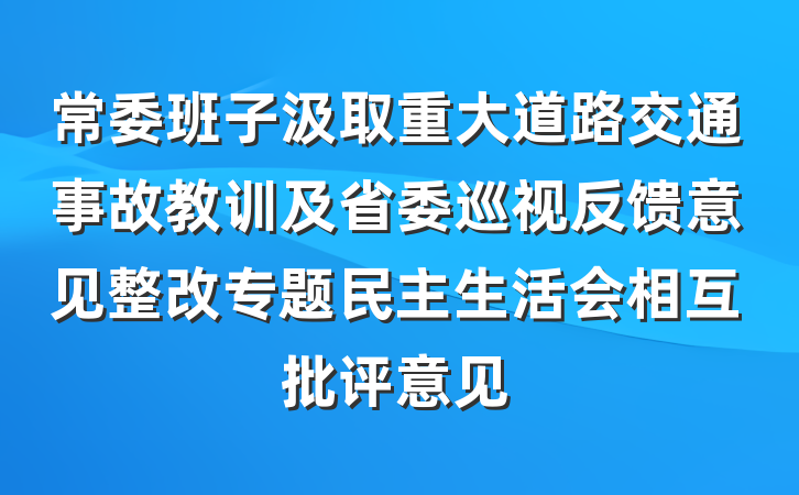 常委班子汲取重大道路交通事故教训及省委巡视反馈意见整改专题民主生活会相互批评意见