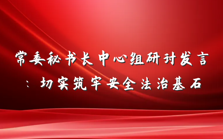 常委秘书长中心组研讨发言：切实筑牢安全法治基石