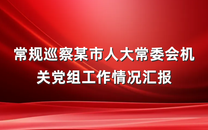 常规巡察某市人大常委会机关党组工作情况汇报