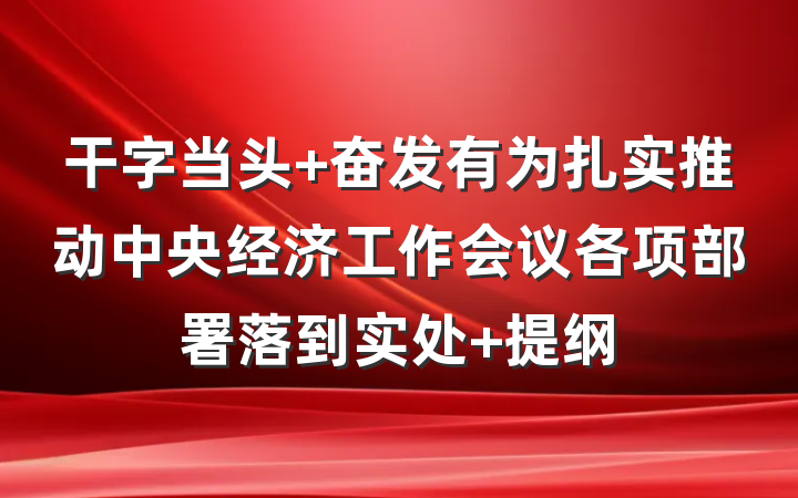 干字当头 奋发有为扎实推动中央经济工作会议各项部署落到实处 提纲