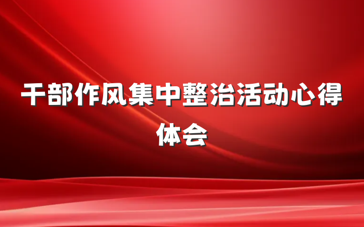 干部作风集中整治活动心得体会