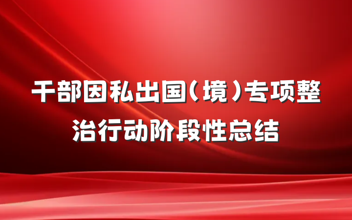 干部因私出国（境）专项整治行动阶段性总结