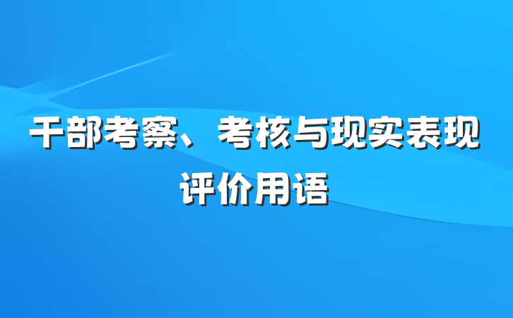 干部考察、考核与现实表现评价用语