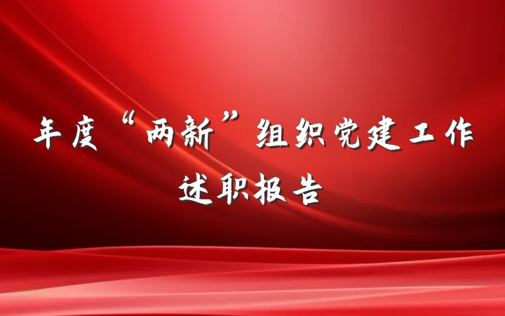 年度“两新”组织党建工作述职报告