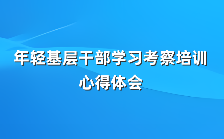 年轻基层干部学习考察培训心得体会