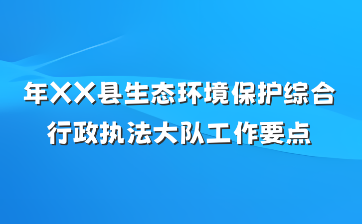 年XX县生态环境保护综合行政执法大队工作要点
