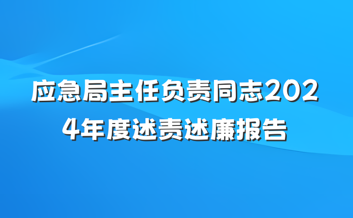 应急局主任负责同志2024年度述责述廉报告