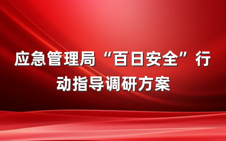 应急管理局“百日安全”行动指导调研方案