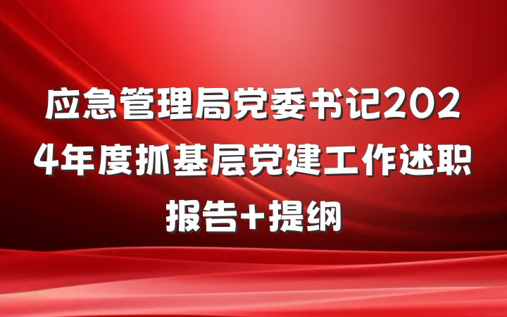 应急管理局党委书记2024年度抓基层党建工作述职报告 提纲