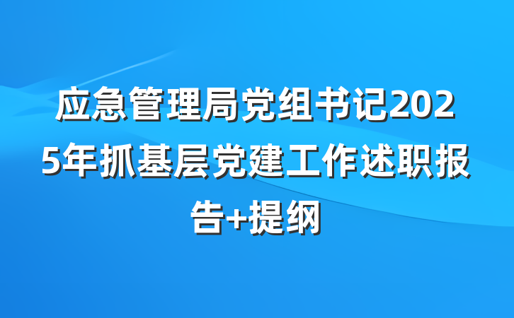 应急管理局党组书记2025年抓基层党建工作述职报告 提纲