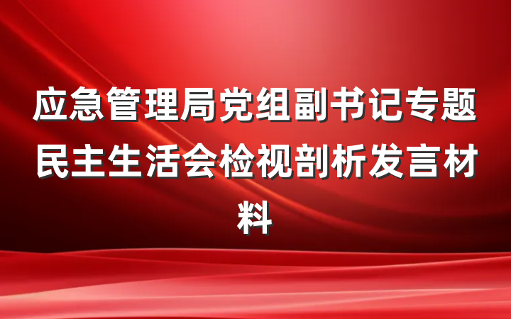 应急管理局党组副书记专题民主生活会检视剖析发言材料