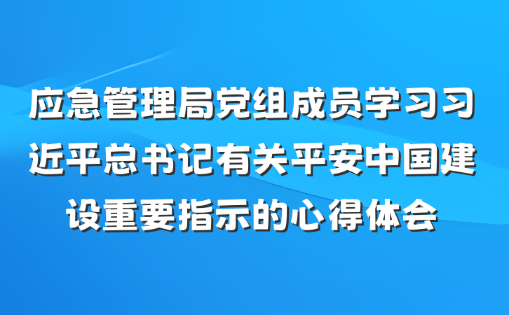 应急管理局党组成员学习习近平总书记有关平安中国建设重要指示的心得体会