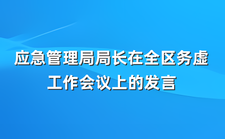 应急管理局局长在全区务虚工作会议上的发言