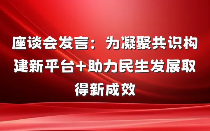 座谈会发言：为凝聚共识构建新平台 助力民生发展取得新成效