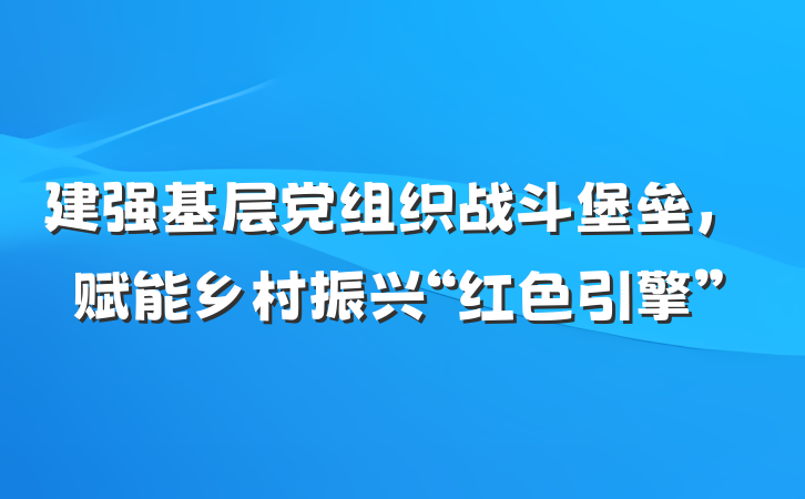 建强基层党组织战斗堡垒，赋能乡村振兴“红色引擎”