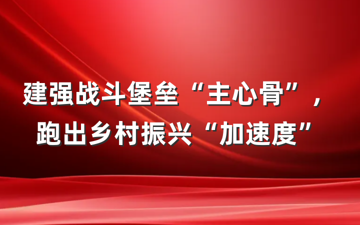 建强战斗堡垒“主心骨”，跑出乡村振兴“加速度”