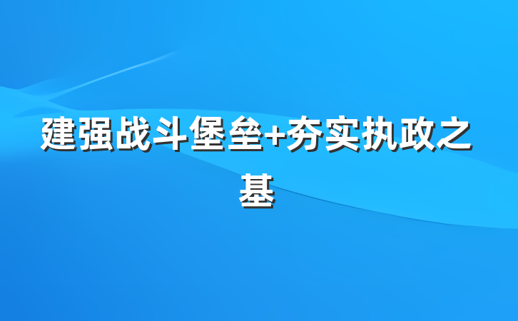 建强战斗堡垒 夯实执政之基
