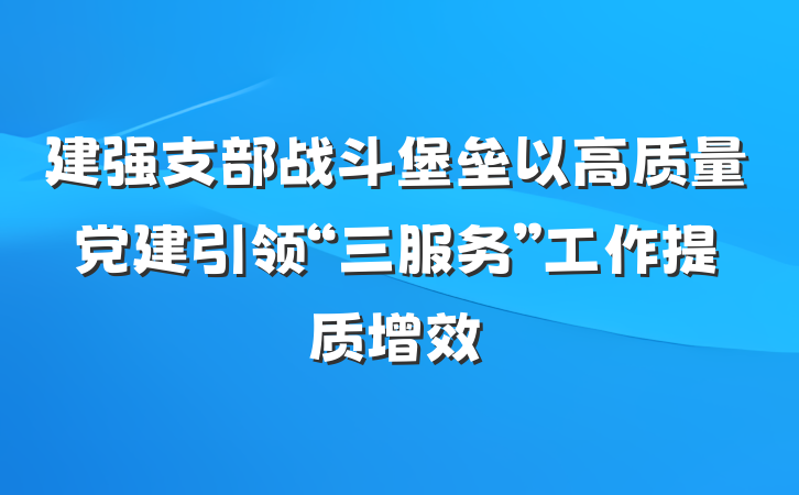 建强支部战斗堡垒以高质量党建引领“三服务”工作提质增效
