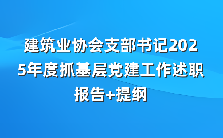 建筑业协会支部书记2025年度抓基层党建工作述职报告 提纲