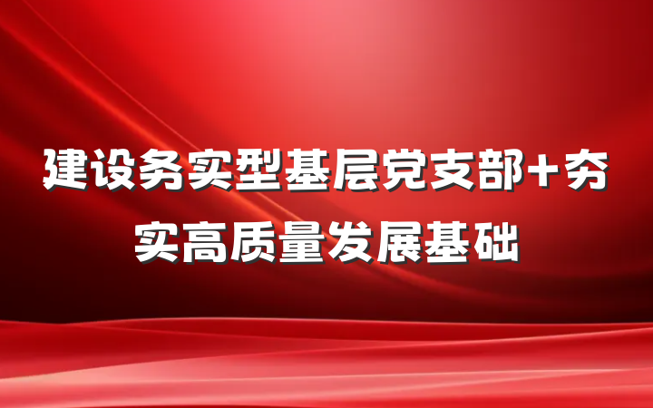 建设务实型基层党支部 夯实高质量发展基础