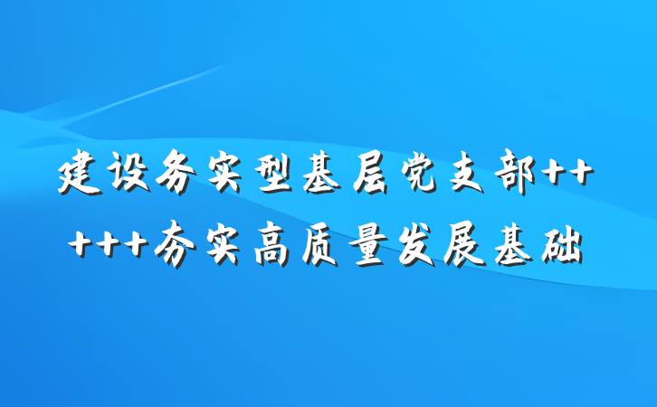 建设务实型基层党支部     夯实高质量发展基础