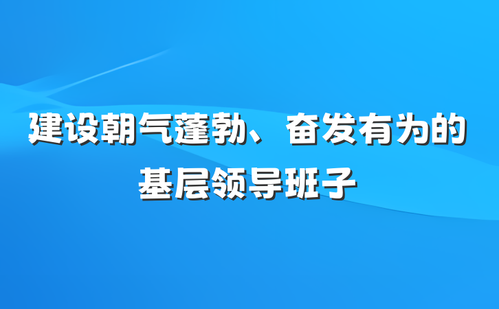建设朝气蓬勃、奋发有为的基层领导班子