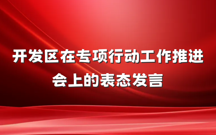开发区在专项行动工作推进会上的表态发言