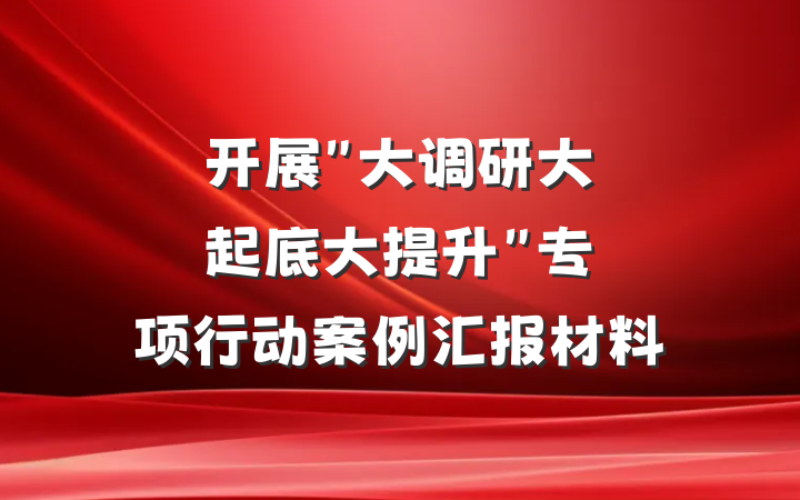 开展"大调研大起底大提升"专项行动案例汇报材料