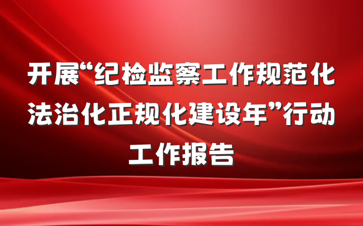 开展“纪检监察工作规范化法治化正规化建设年”行动工作报告